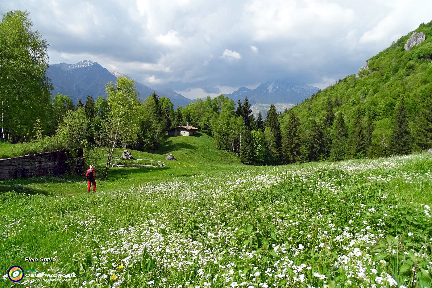 98 Pian della Mussa alta (1324 m).JPG -                                